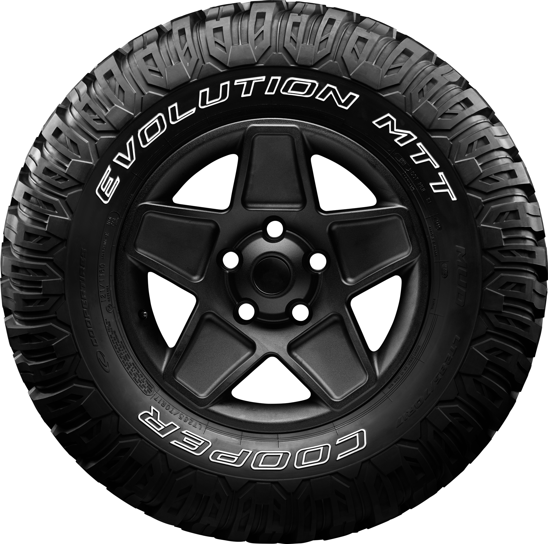 Miniaturbild 3 f&uuml;r EVOLUTION MTT